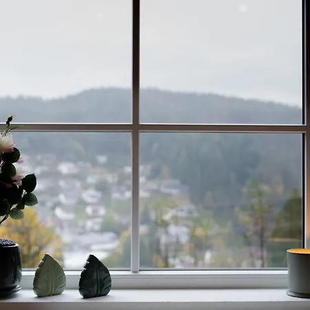 Hornwald - Fuer Wellness, Wald & Genuss! Tatil Evi Schonach im Schwarzwald
